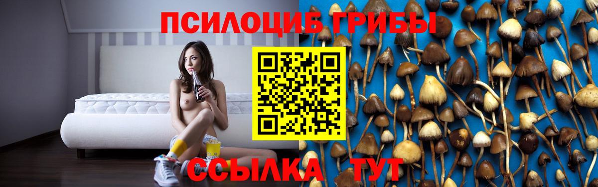 Псилоцибиновые грибы Cubensis  Вход с VPN  Армавир  Псилоцибиновые грибы ЛСД 